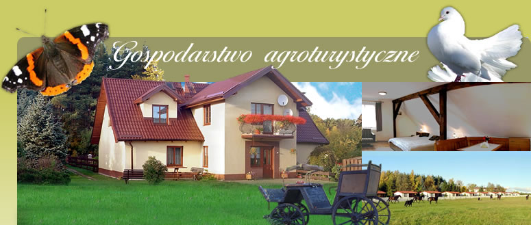 Gospodarstwo Agroturystyczne Inge Wołoch Agroturystyka - Ustka Orzechowo, domki nad morzem, domki, apartamenty, Ustka Orzechowo, gospodarstwo agroturystyczne, Ustka Orzechowo, Orzechowo-Zapadle, Ustka Orzechowo, pokoje, noclegi, kwatery, pensjonat, pensjonaty, wolne pokoje, Ustka Orzechowo wczasy, Ustka Orzechowo wypoczynek, Ustka Orzechowo pokoje, Ustka Orzechowo noclegi, Ustka Orzechowo wakacje, morze